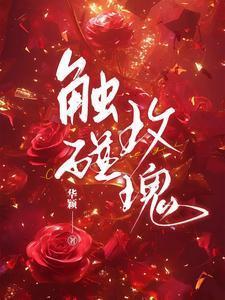 触碰这首歌有什么故事