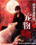 元梦之星宠物系统