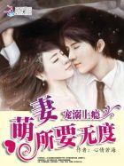 宠上小萌妻免费阅读