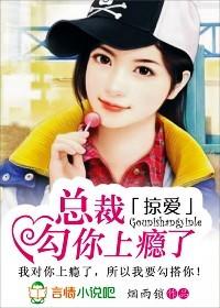 总裁掠爱100