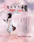 不了情歌曲歌词