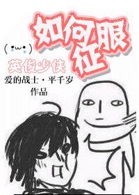 如何征服英俊少男原版
