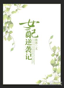 重生之炮灰女配逆袭记