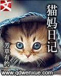 猫妈日记韩老师是女主还是男主
