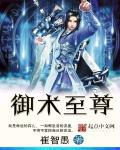 至尊御灵师