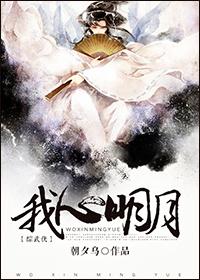 我心明月txt快穿
