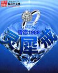 灵犀戒和流光戒