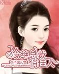 冷酷总裁俏皮妻