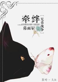 兄弟战争攻