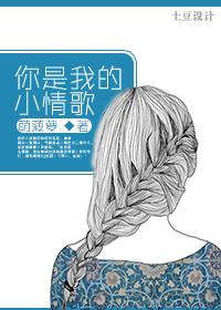 你是我的小情歌云南山歌