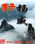 傻子章节