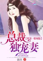 一胎双宝总裁宠妻无度
