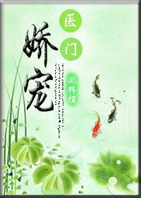 娇宠龙门小医妃全文免费阅读