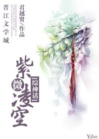 作者紫微