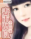 妻本贤良破解版完结清软