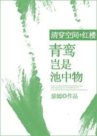 清穿之青鸾之女
