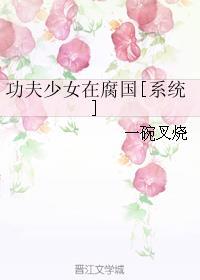 功夫少女在腐国无防盗