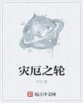 灾厄wiki