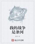 我的战争是什么语言