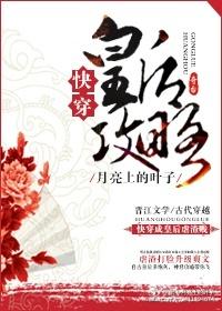 皇后攻略txt