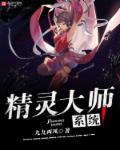 精灵大师怎么进化
