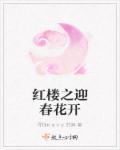 红楼之迎春花香