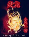 炎龙骑士团2黄金城之谜