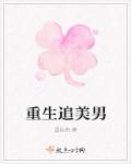 重生追美txt