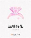 荷花远看像一片什么