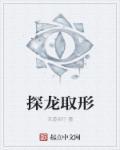 探龙什么内容