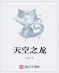 天空龙特性