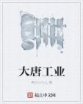 大唐公司是干什么的