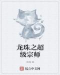 超级龙珠系统