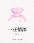 情深一往歌词什么歌