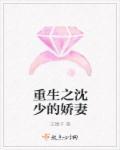 沈少爷免费阅读