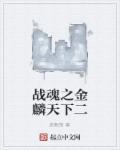 战魂之金磷天下