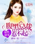 腹黑总裁强势宠妻免费阅读