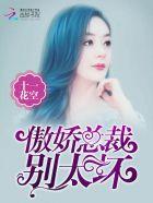 傲娇总裁太深情