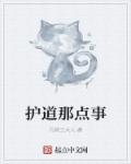 护道使者哪个好