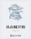从山贼npc