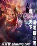 君临天下 百科