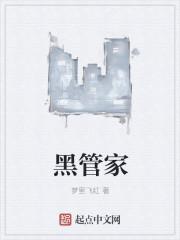 黑手机管家