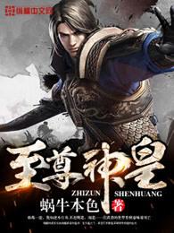 至尊神皇叶尘全文免费阅读
