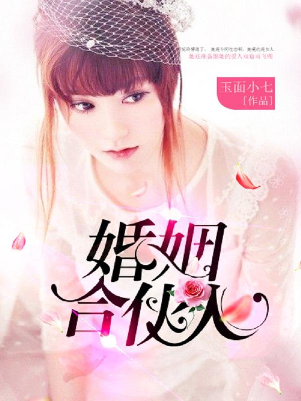 婚姻合伙人 国语