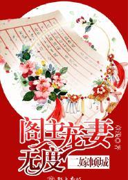 二嫁王妃免费阅读