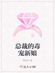 总裁的新宠