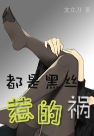都是黑色丝惹的祸2