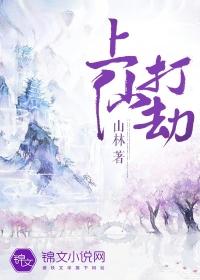 上仙渡劫成功