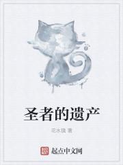 圣者的遗物怎么开