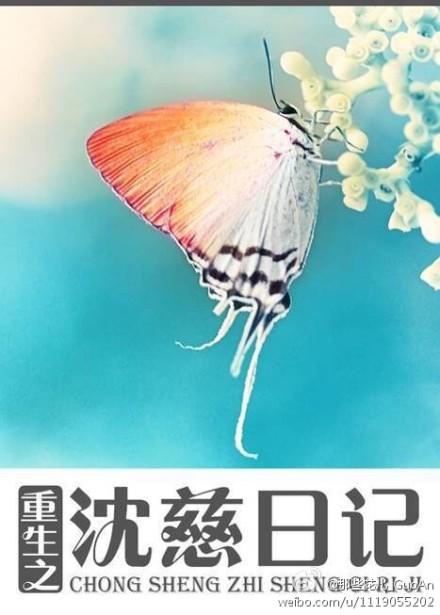 沈综重生